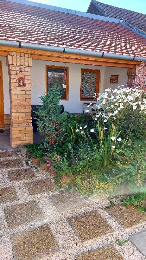 Mandula Apartman Szeged Bagian luar foto